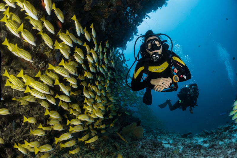 Mergulho e ecoturismo de luxo em águas cristalinas — Moonsters Viagens